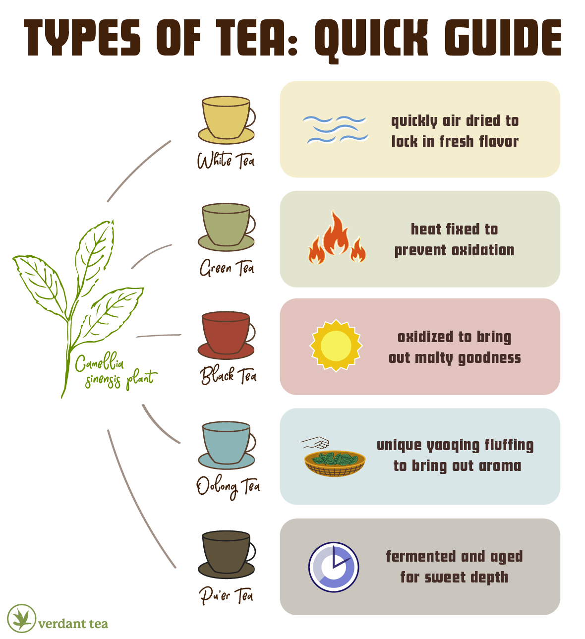 Different Types of Tea Your Guide to the Perfect Cup Blog