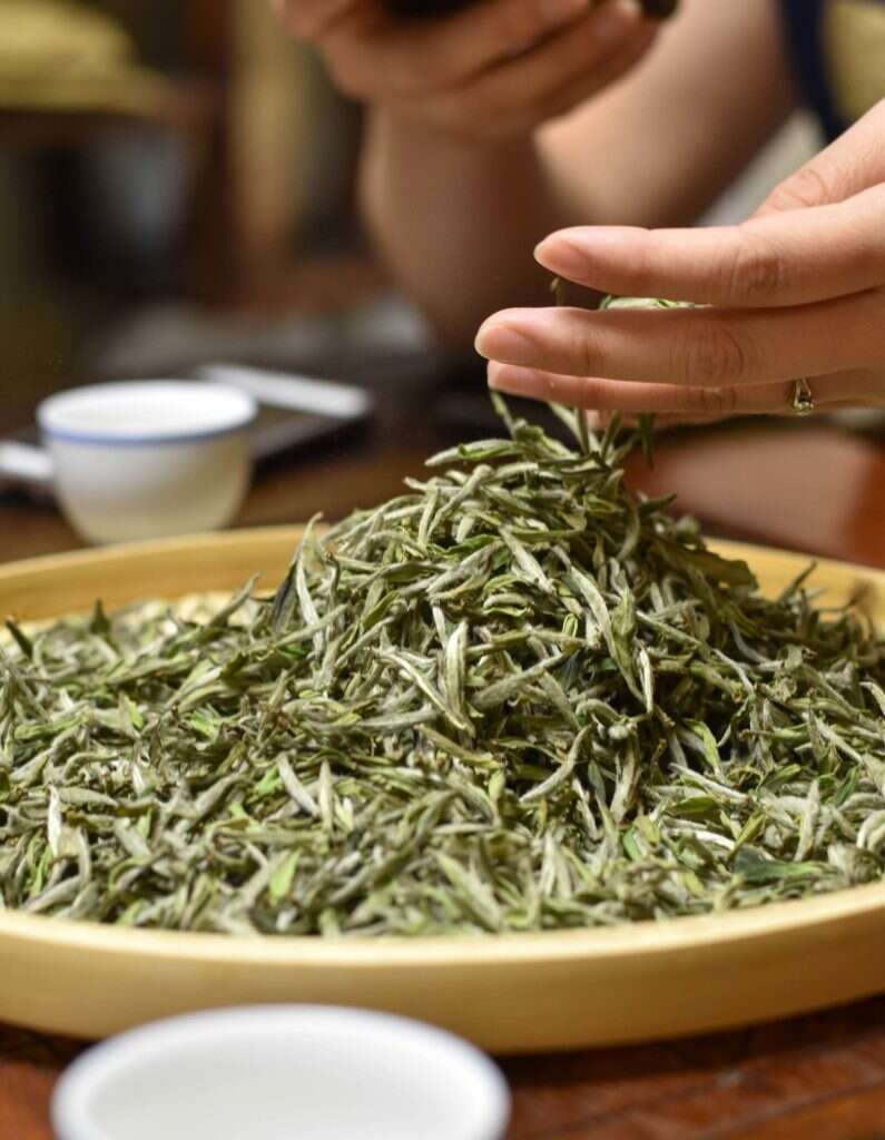 the Wu Family's buddy white tea the Wu Family's buddy white tea