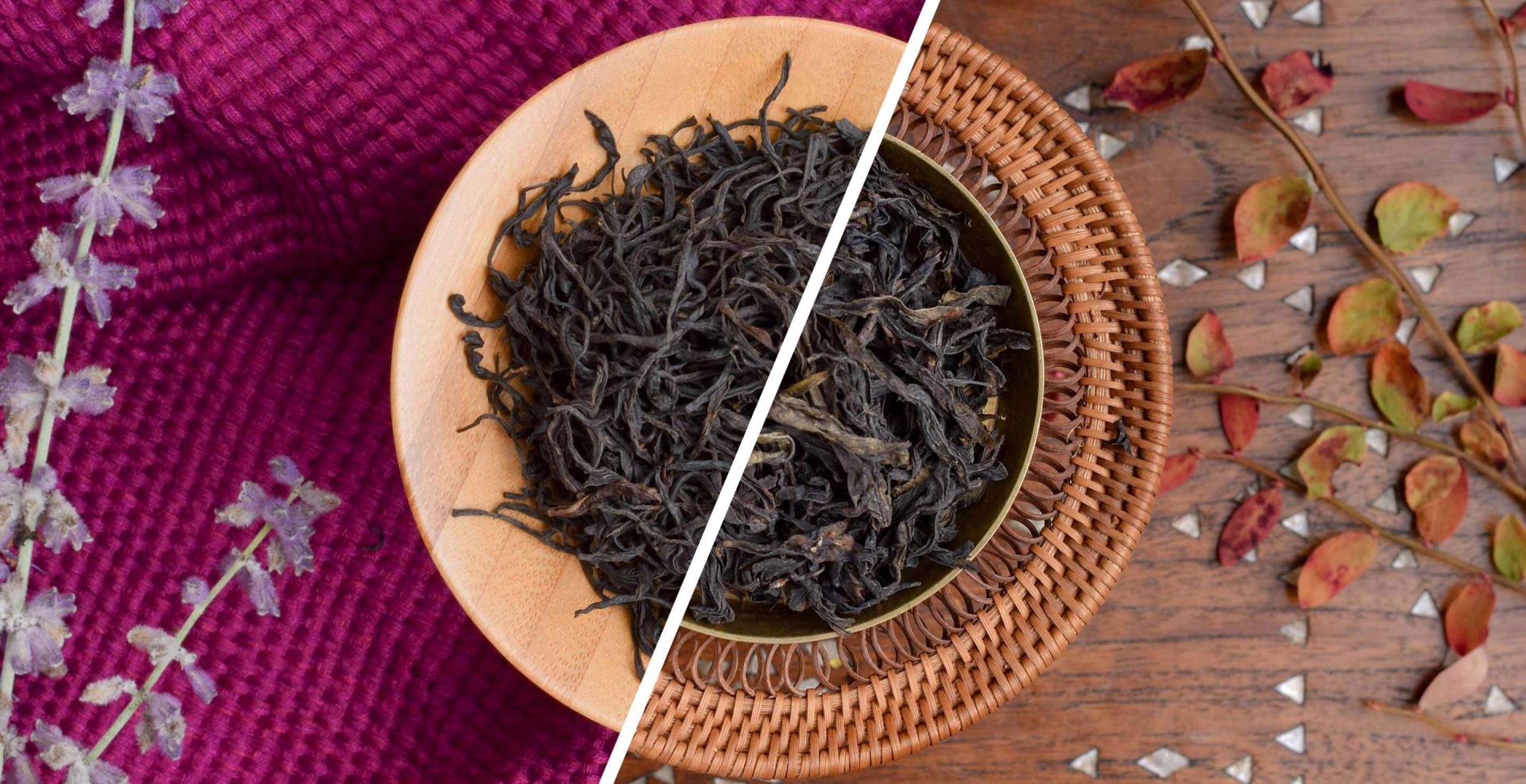 one harvest - two different teas: Bai Rui Xiang black (left) vs Bai Rui Xiang oolong (right) one harvest - two different teas: Bai Rui Xiang black (left) vs Bai Rui Xiang oolong (right)
