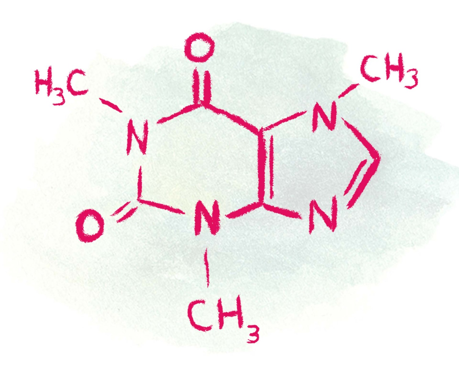 the molecular structure of caffeine