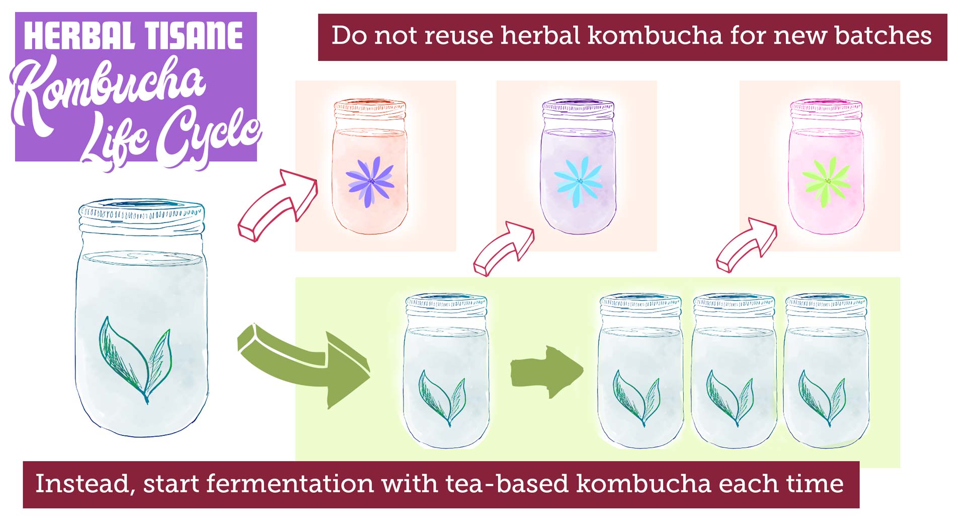 Do not use herbal kombucha for new batches. Instead, start fermentation with tea-based kombucha each time.