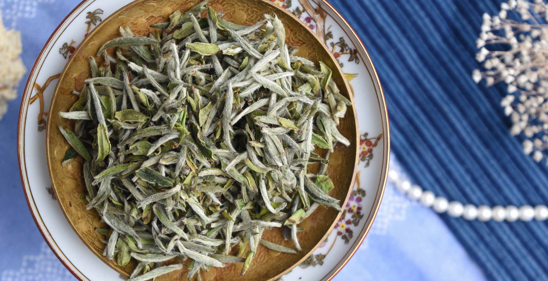 wild-bai-hao-yin-zhen-spring-