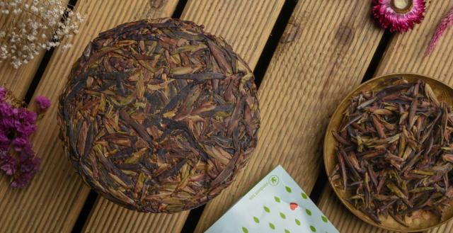 2023 Wild Crassicolumna Yabao