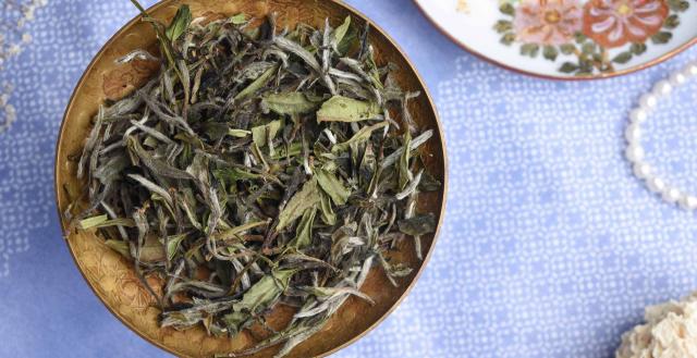 2024 Wild Bai Mu Dan