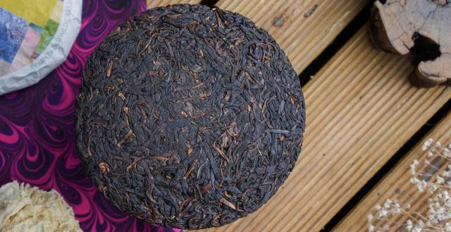 2025 Wild Crassicolumna Black