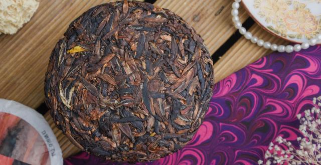 2025 Wild Crassicolumna Yabao Black