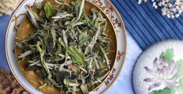 2025 Wild Bai Mu Dan