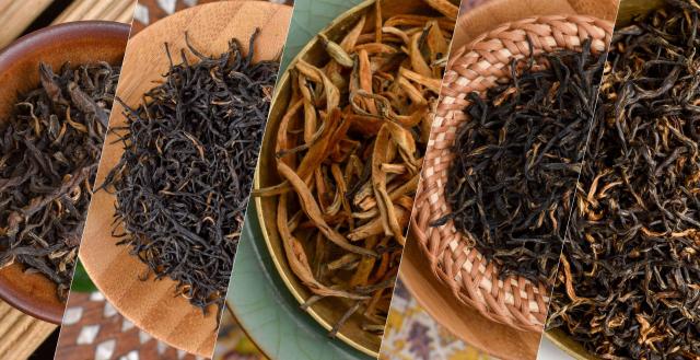 Liquid Gold: Tasting through China's Golden Buds Black Teas
