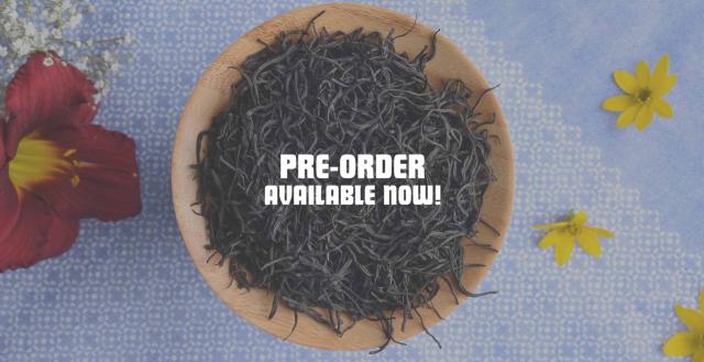 2026 Spring Laoshan Gongfu Black