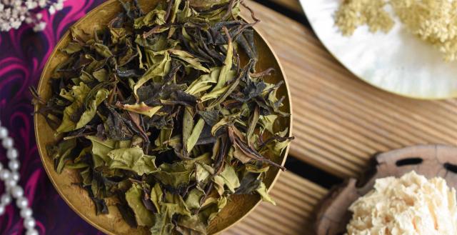 2025 Wild Crassicolumna White