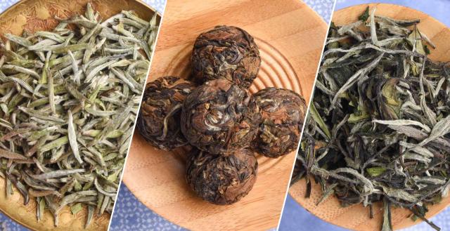 Explore White Teas from Wuyangcun