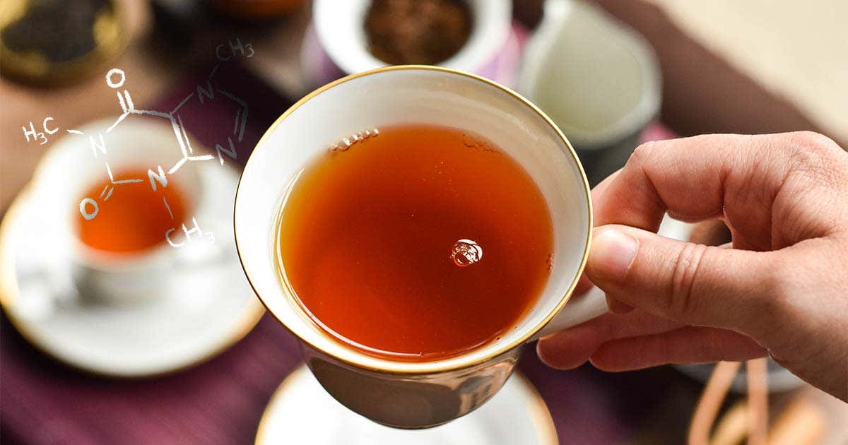 learn about caffeine in oolong tea