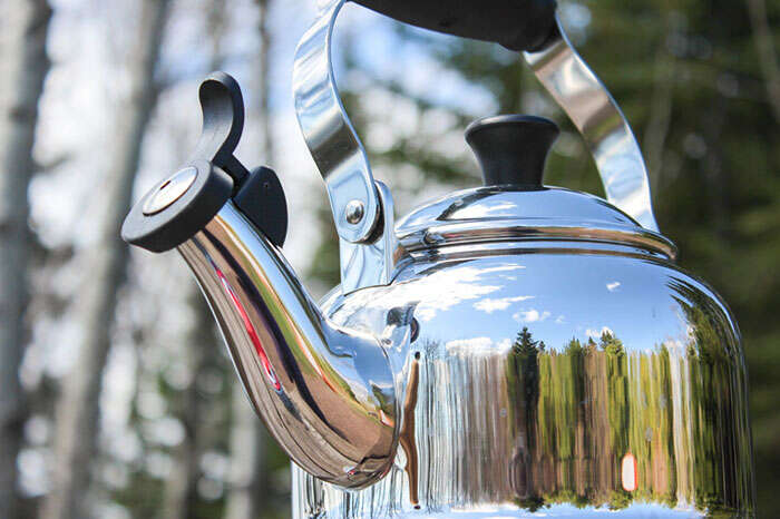 Tea kettle in the woods