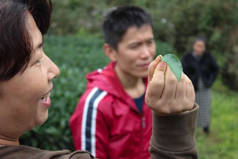Wang Huimin laughs with Mr. Li in Wuyishan
