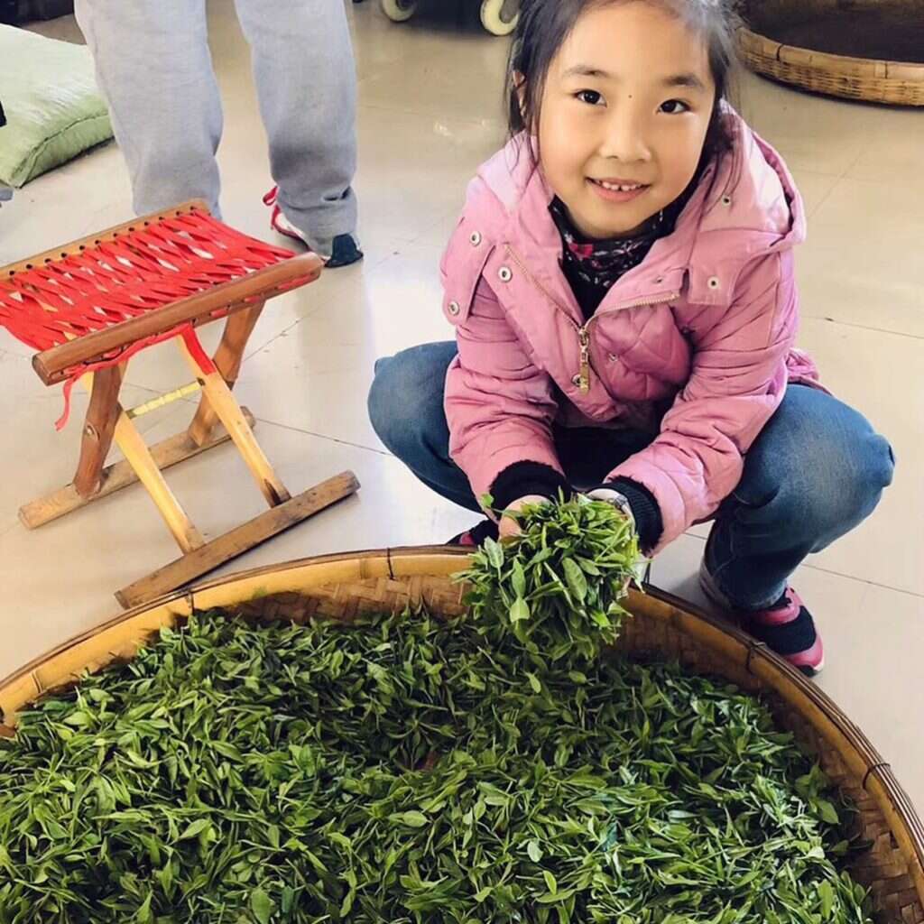 Liu Jiaqi shows off her family's fresh picked green tea // courtesy of He Qingqing