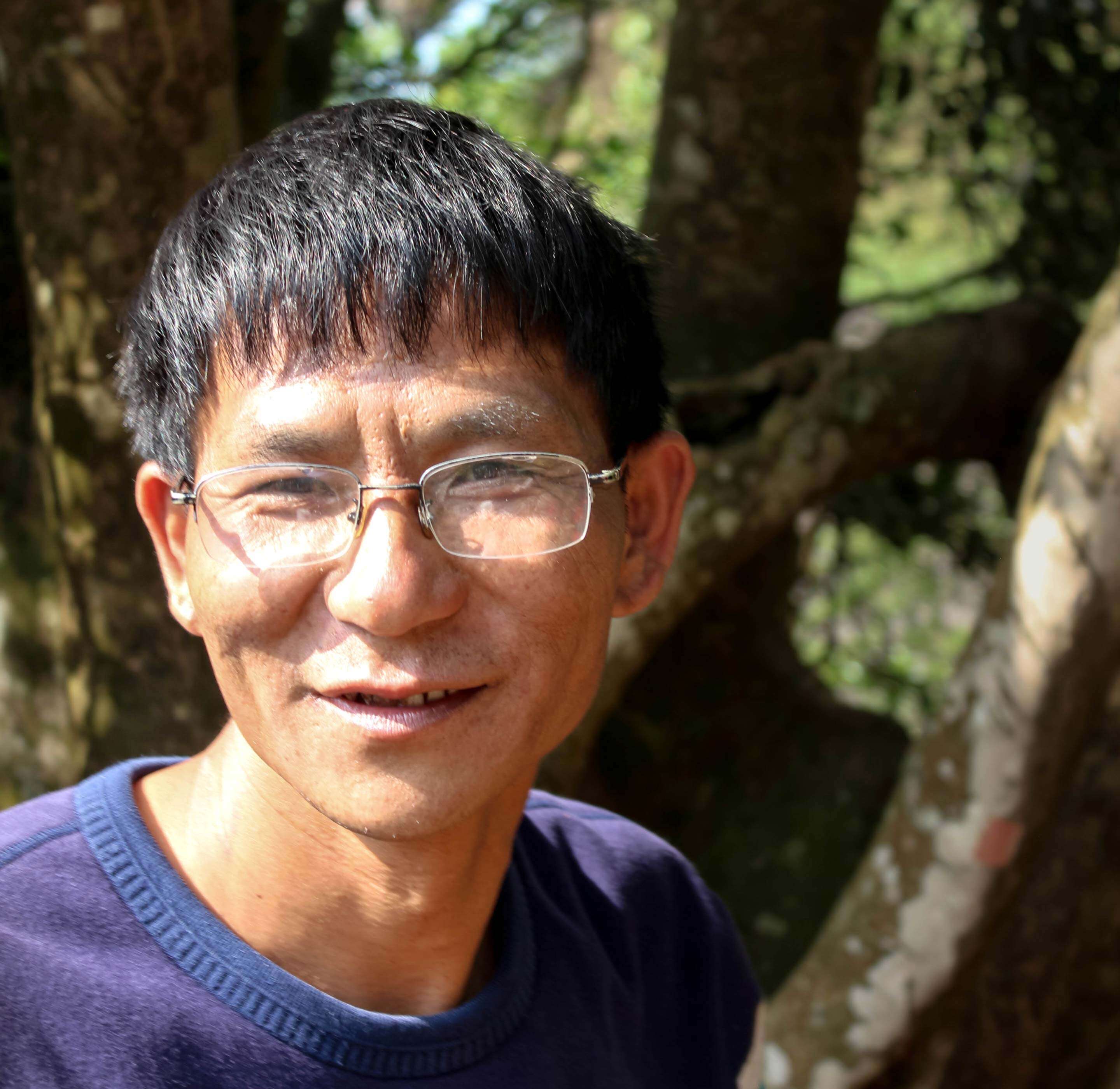 Mr. Zhou visits the Wang Family's giant tea tree