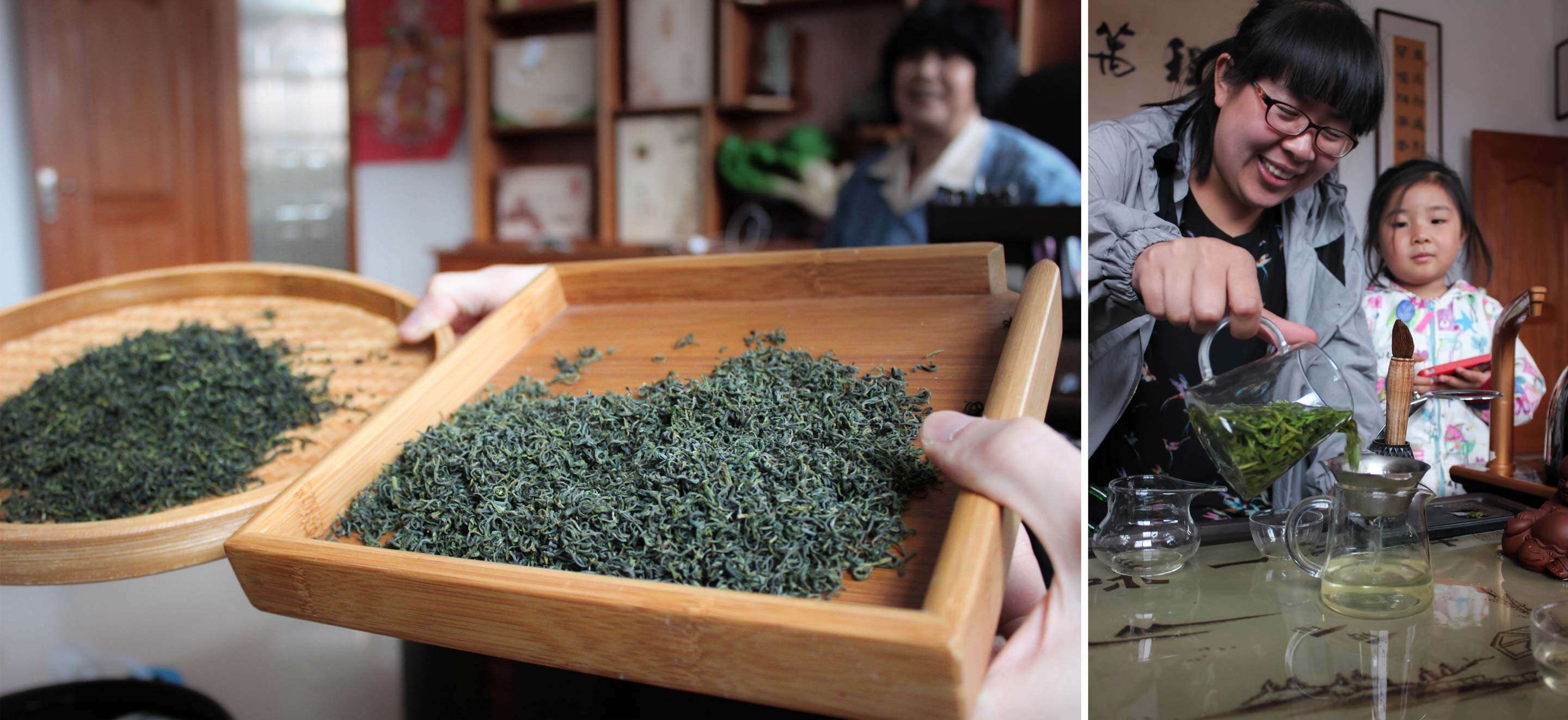 brewing just-picked spring teas with the He Family in Laoshan