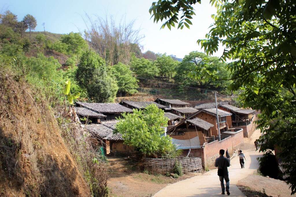 Homes outside Wenchacun spread out around an 1800 year old tea tree.
