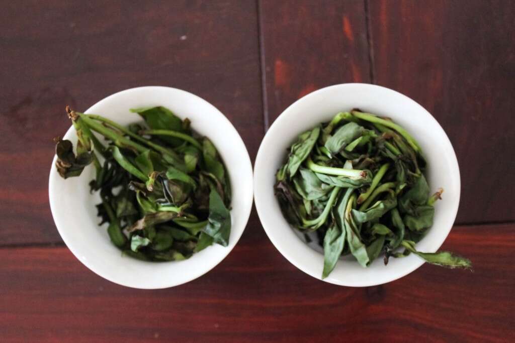 fenghuang-tasting-9766