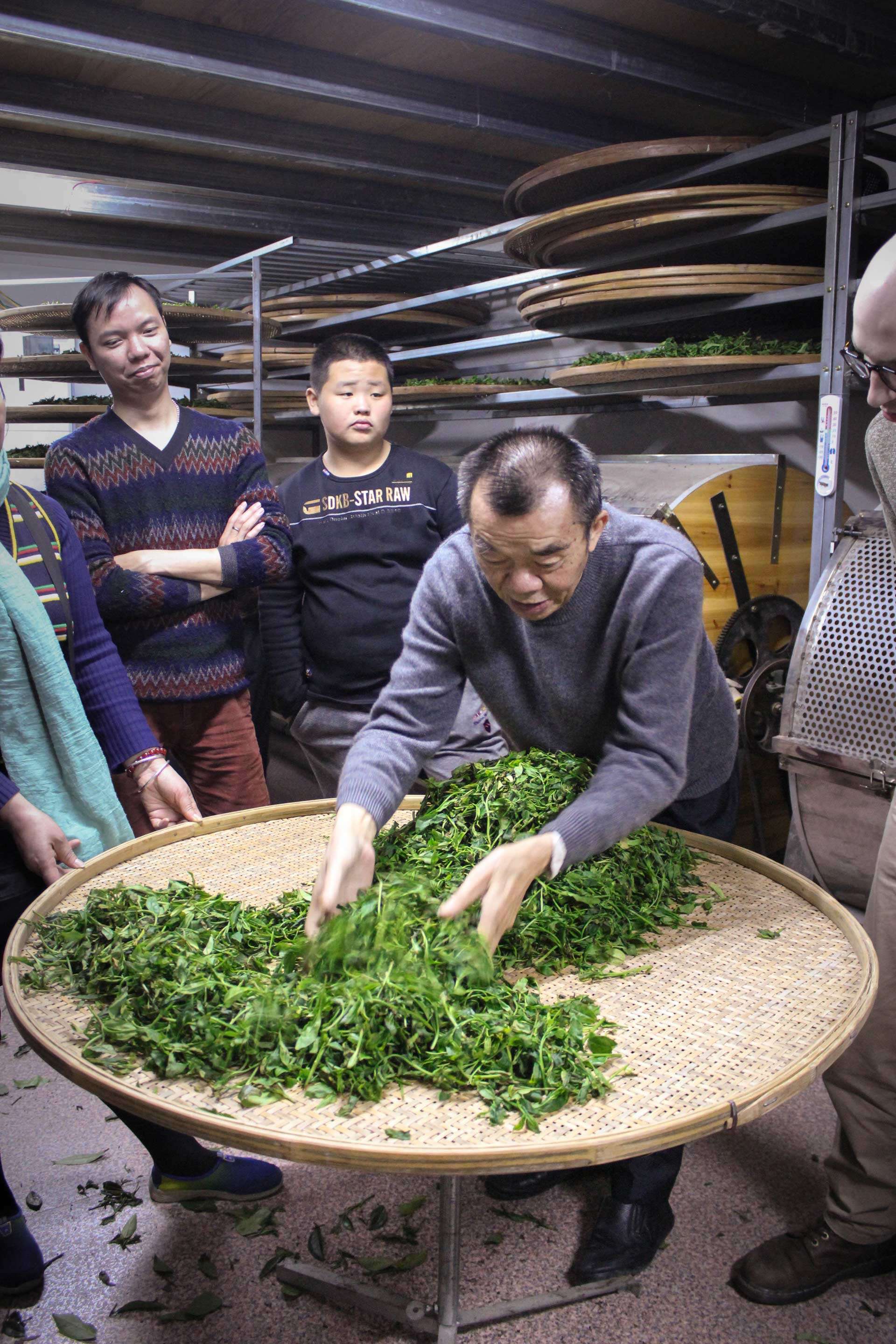 fenghuang-workshop-9516