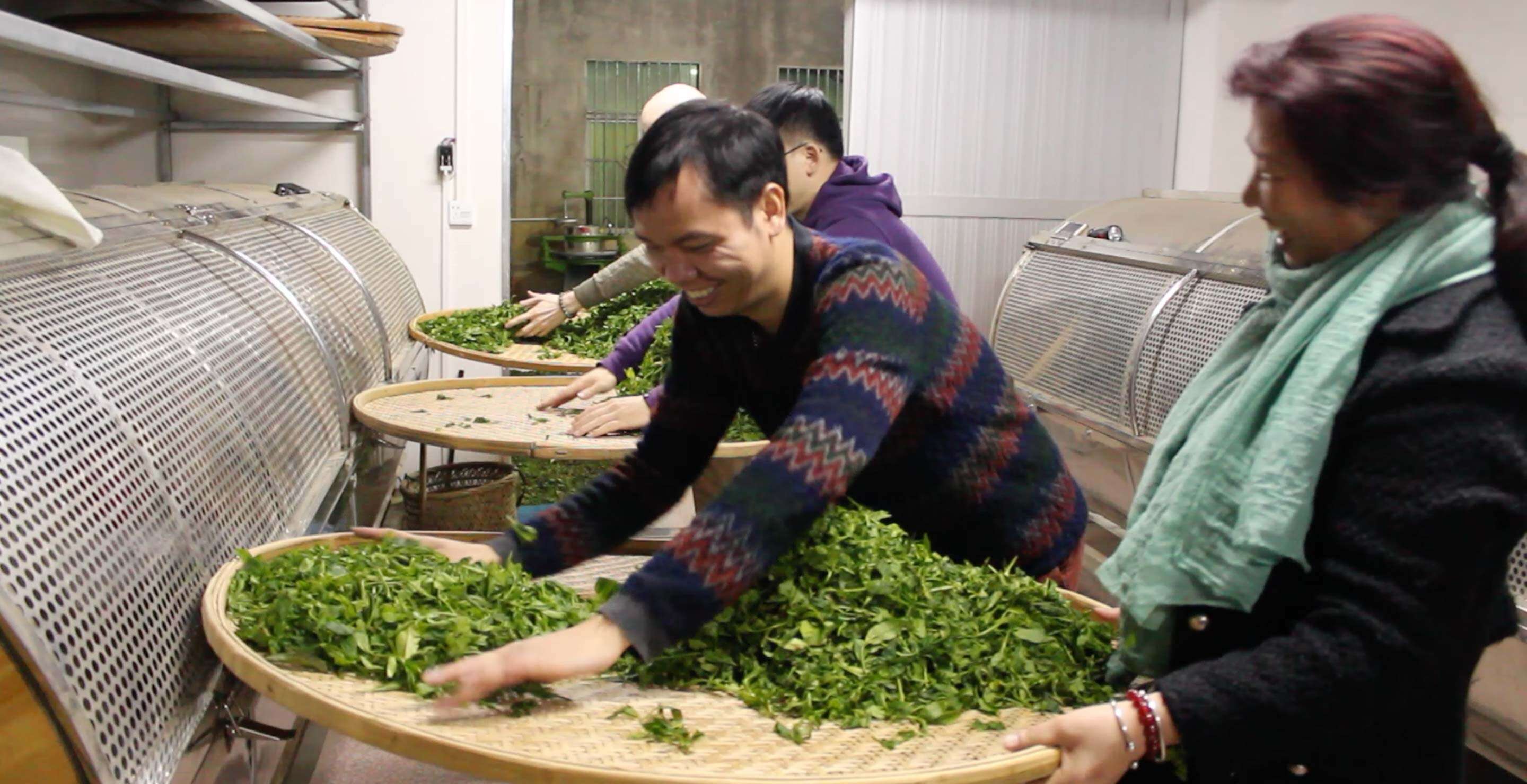Wei Ming teaches Wang Huimin how to work with tea leaves at his brother's workshop in Wudongshan