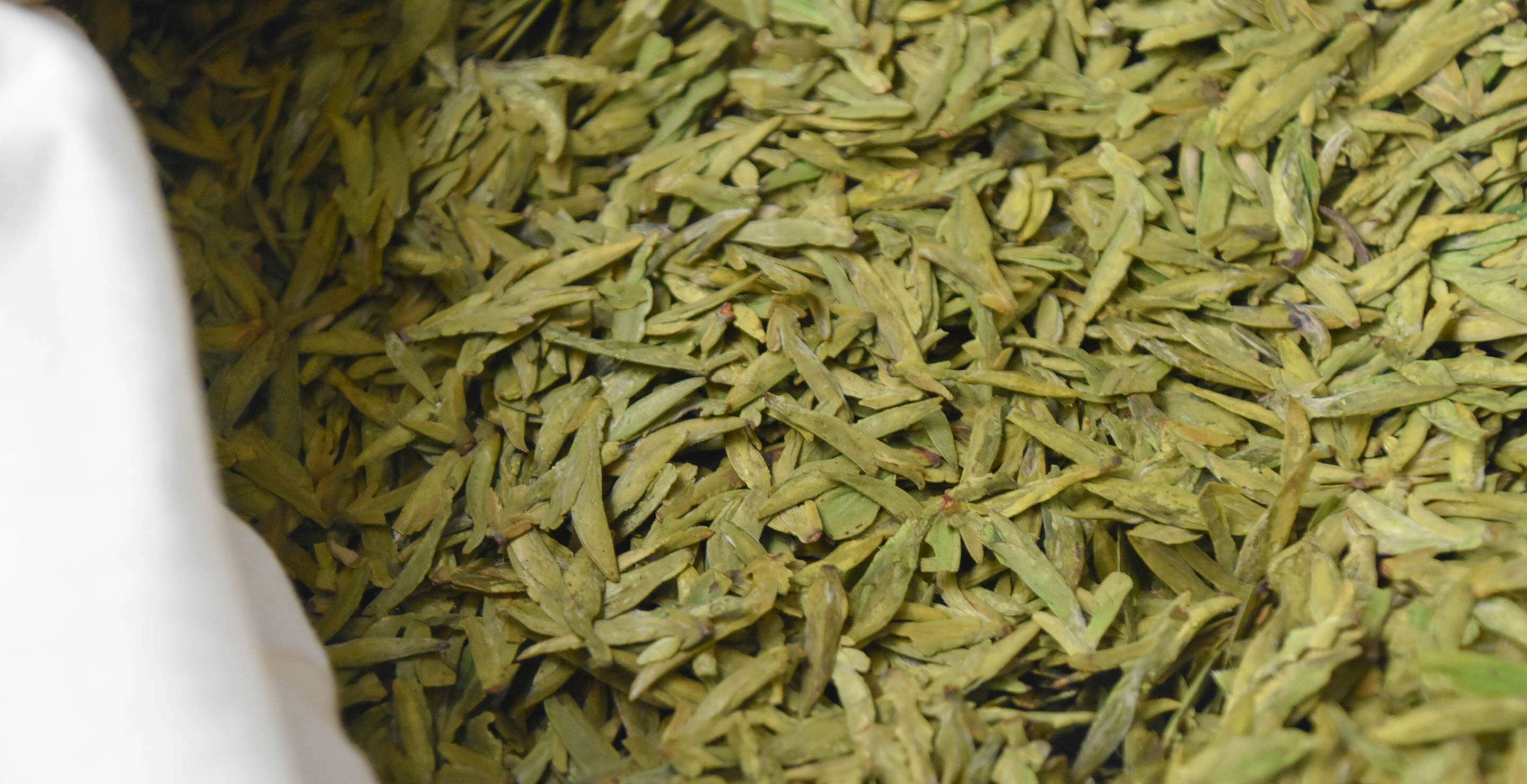 early spring Dragonwell green tea