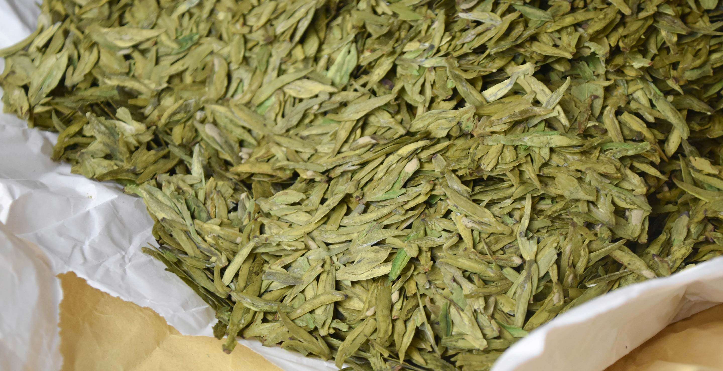 dragonwell-day-2-leaves-longjing-43-C-0680-largex2