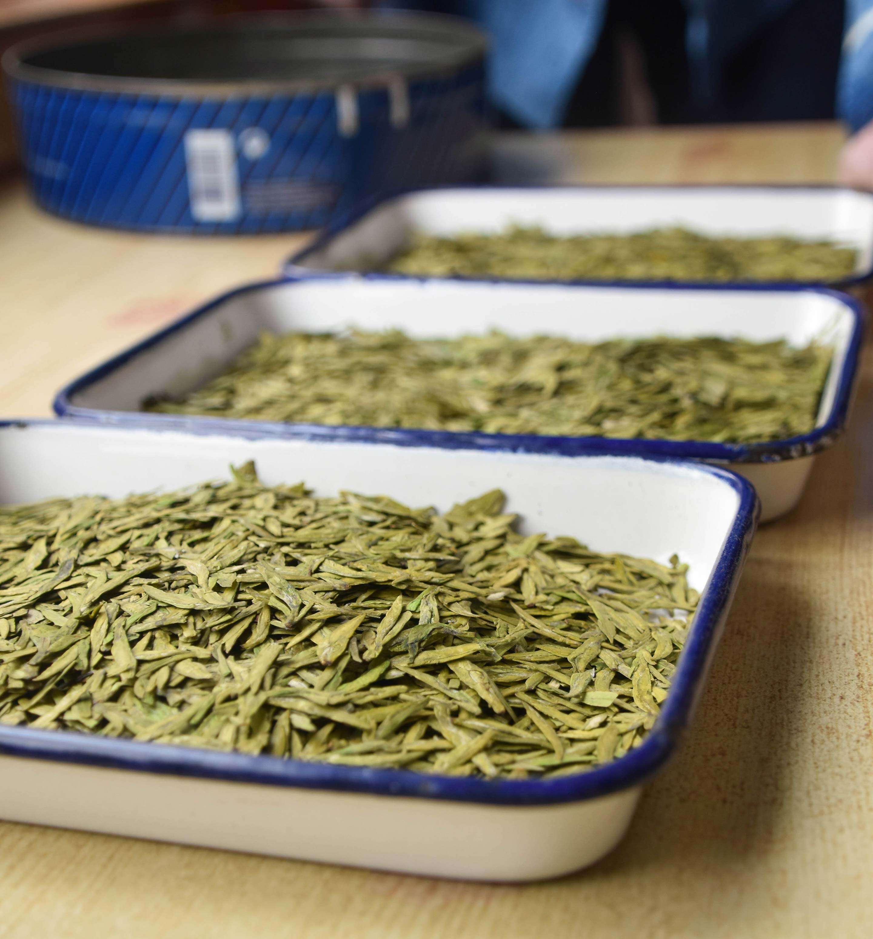 comparing different Ming Qian tea harvests