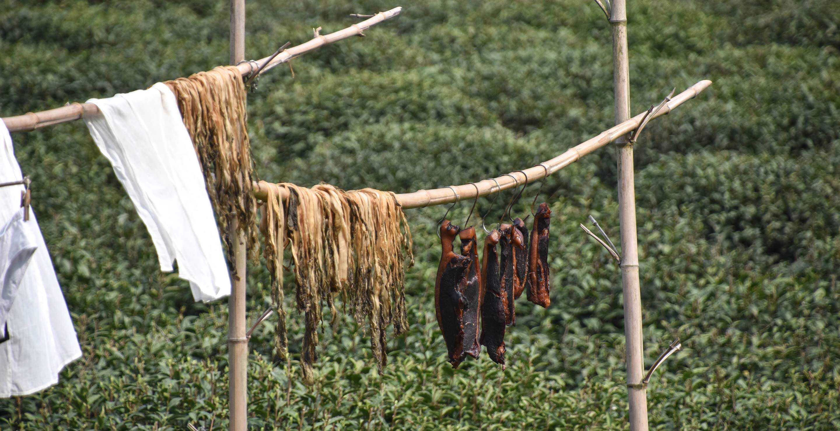 Meat, fish skin, and laundry dry in the middle of a field of West Lake Dragonwell
