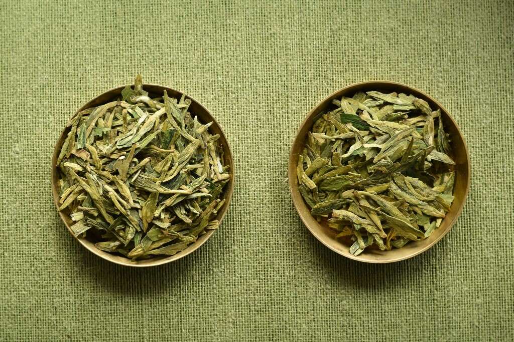 on the left, Longjing Qunti; on the right, Longjing #43