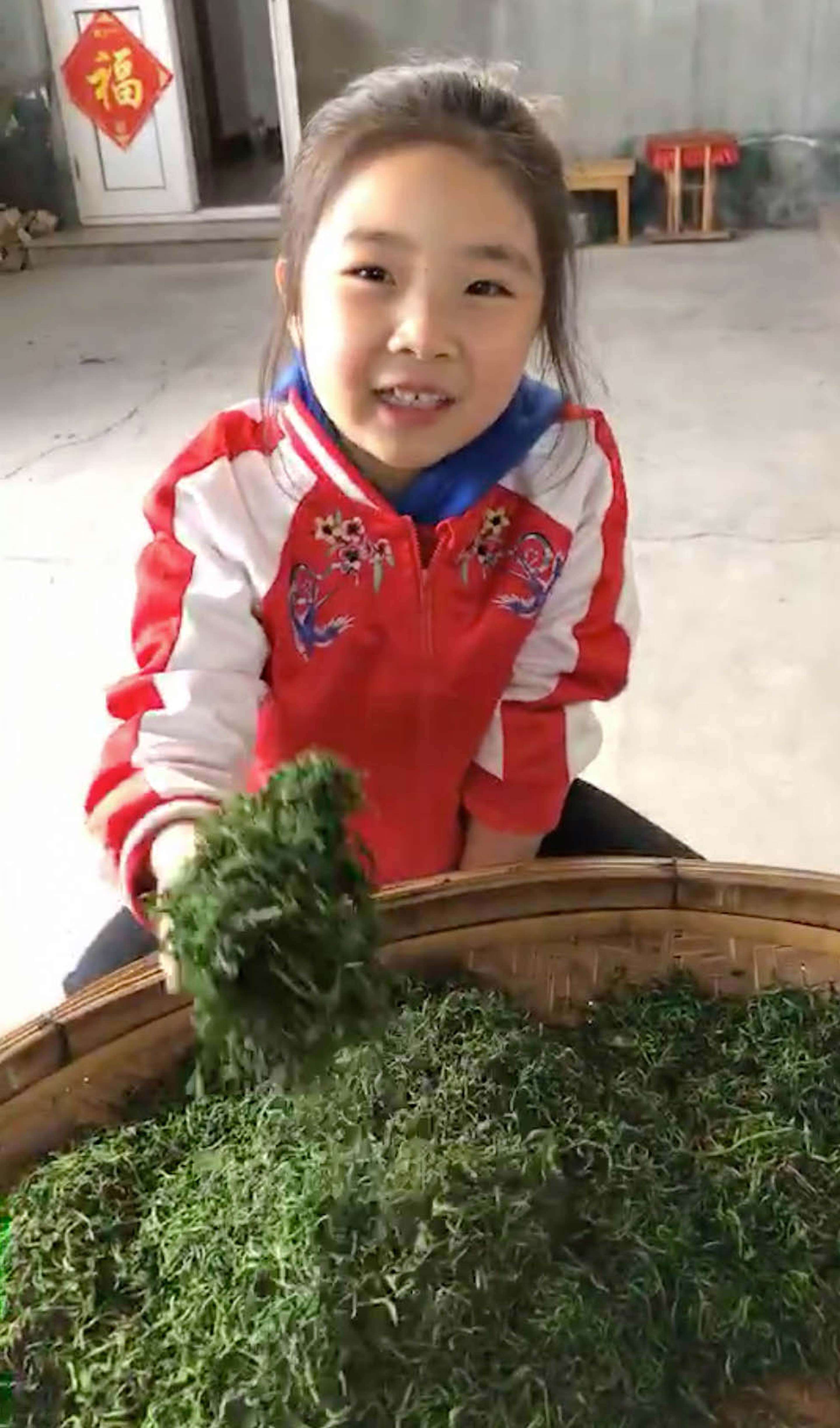 Niu Niu shows off her family's fresh picked 2018 tea // photo courtesy of the He Family