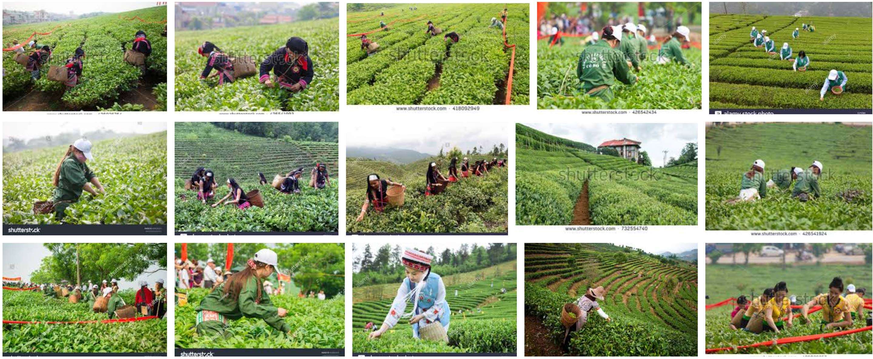 google image search results 06-22-18 for