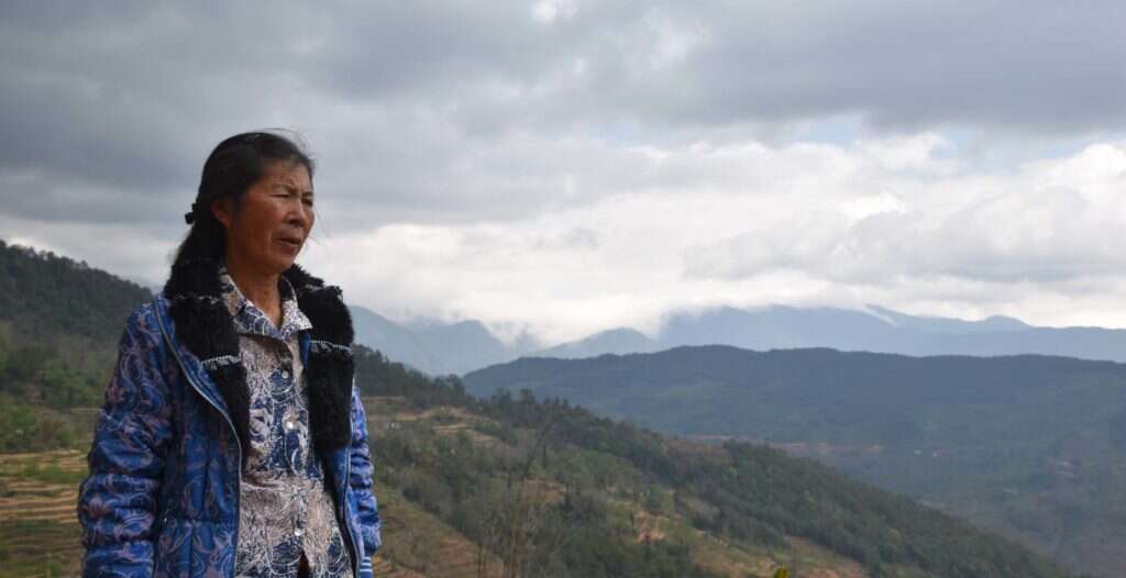 Even if demand skyrocketed, Ms. Li and her family could pick all of their tea trees themselves each season; there simply not enough people in their tiny village