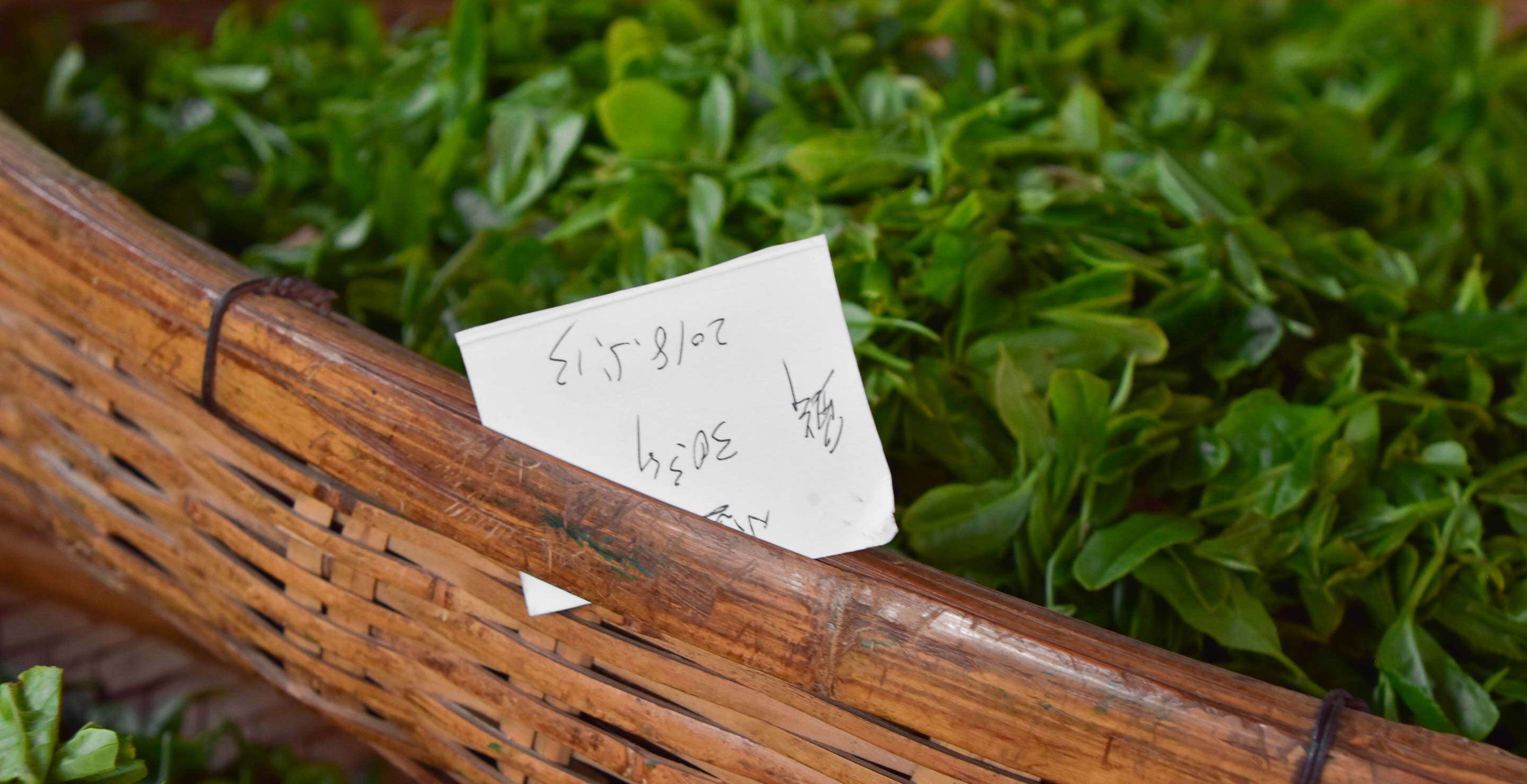 the He Family uses hand written cards to track batches of tea that they finish for their neighbors and extended family