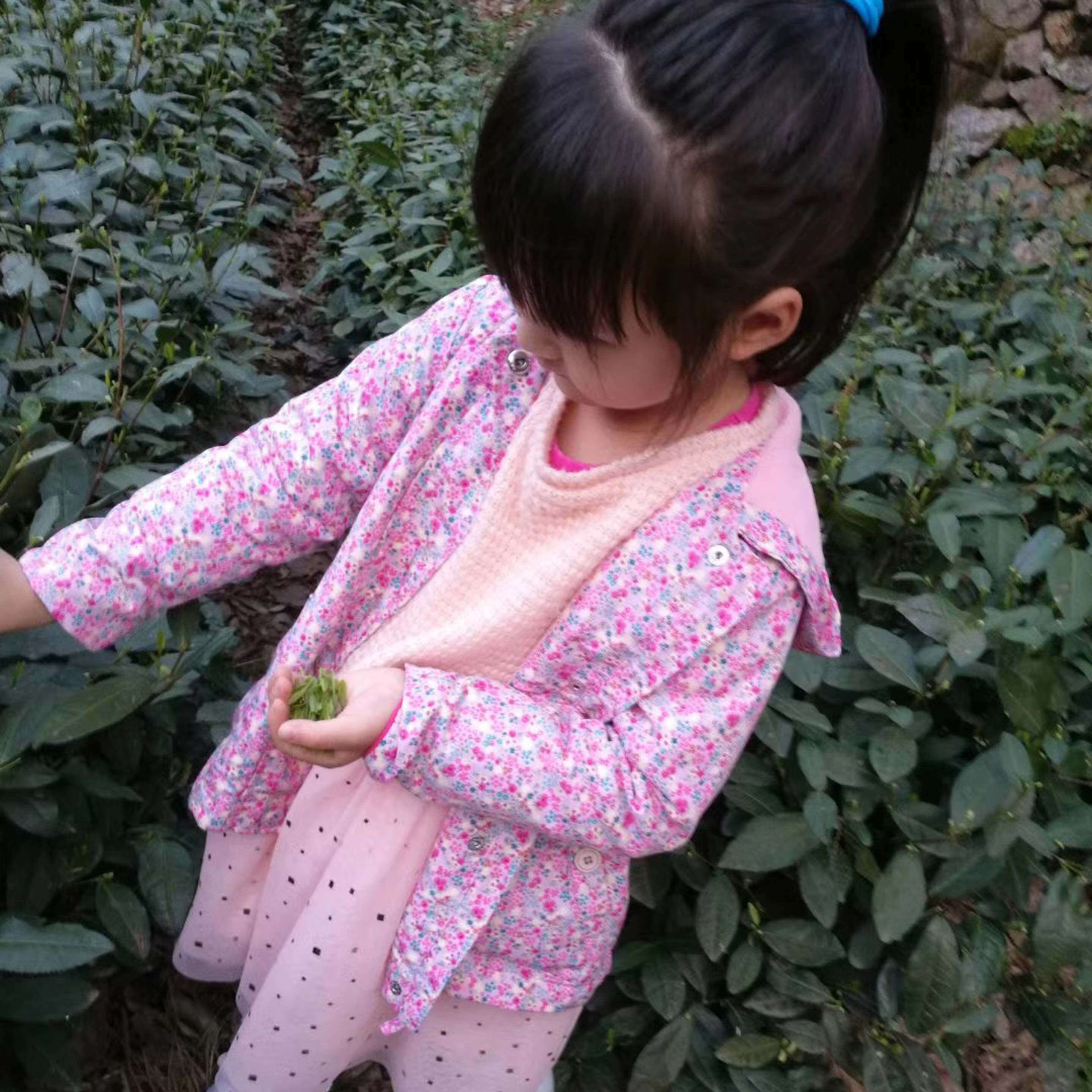 courtesy of Mrs. Li / March 2019