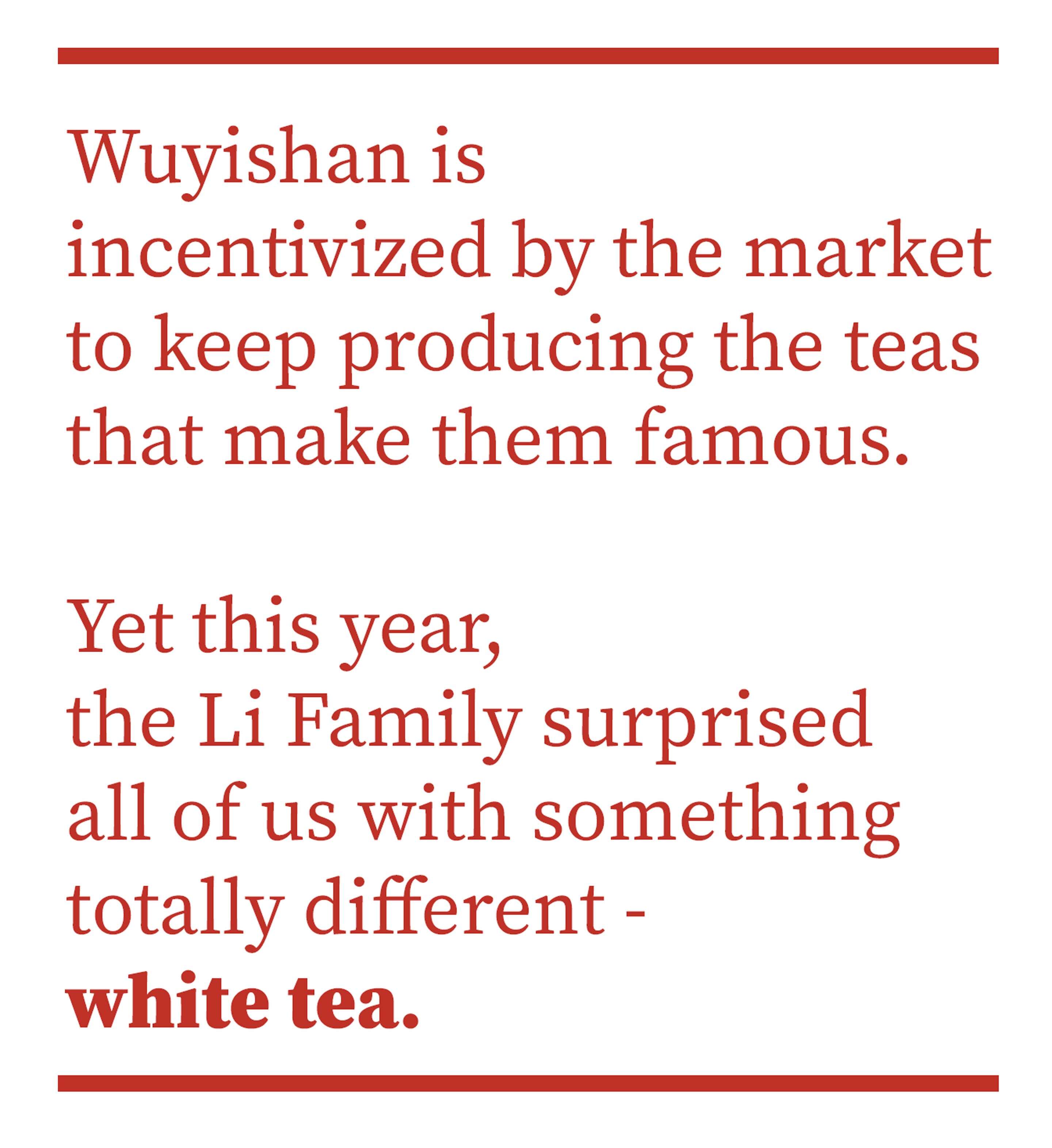 Wuyishan is incentivized by the market to keep producing the teas that make them famous. Yes this year, the Li Family surprised us with something totally different - white tea.