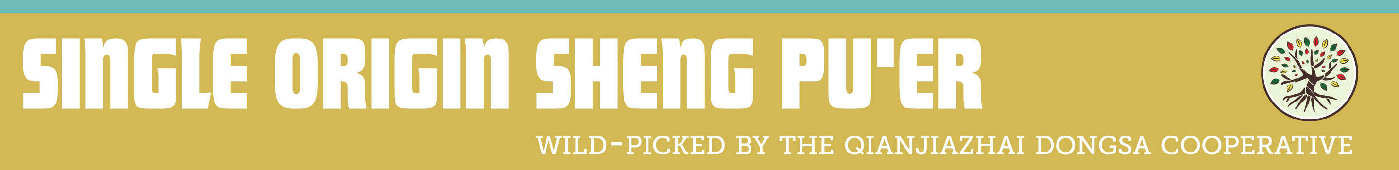 Single Origina Sheng Pu'er teas from the Zhenyuan Dongsa Cooperative in Qianjiazhai in Ailaoshan Single Origina Sheng Pu'er teas from the Zhenyuan Dongsa Cooperative in Qianjiazhai in Ailaoshan